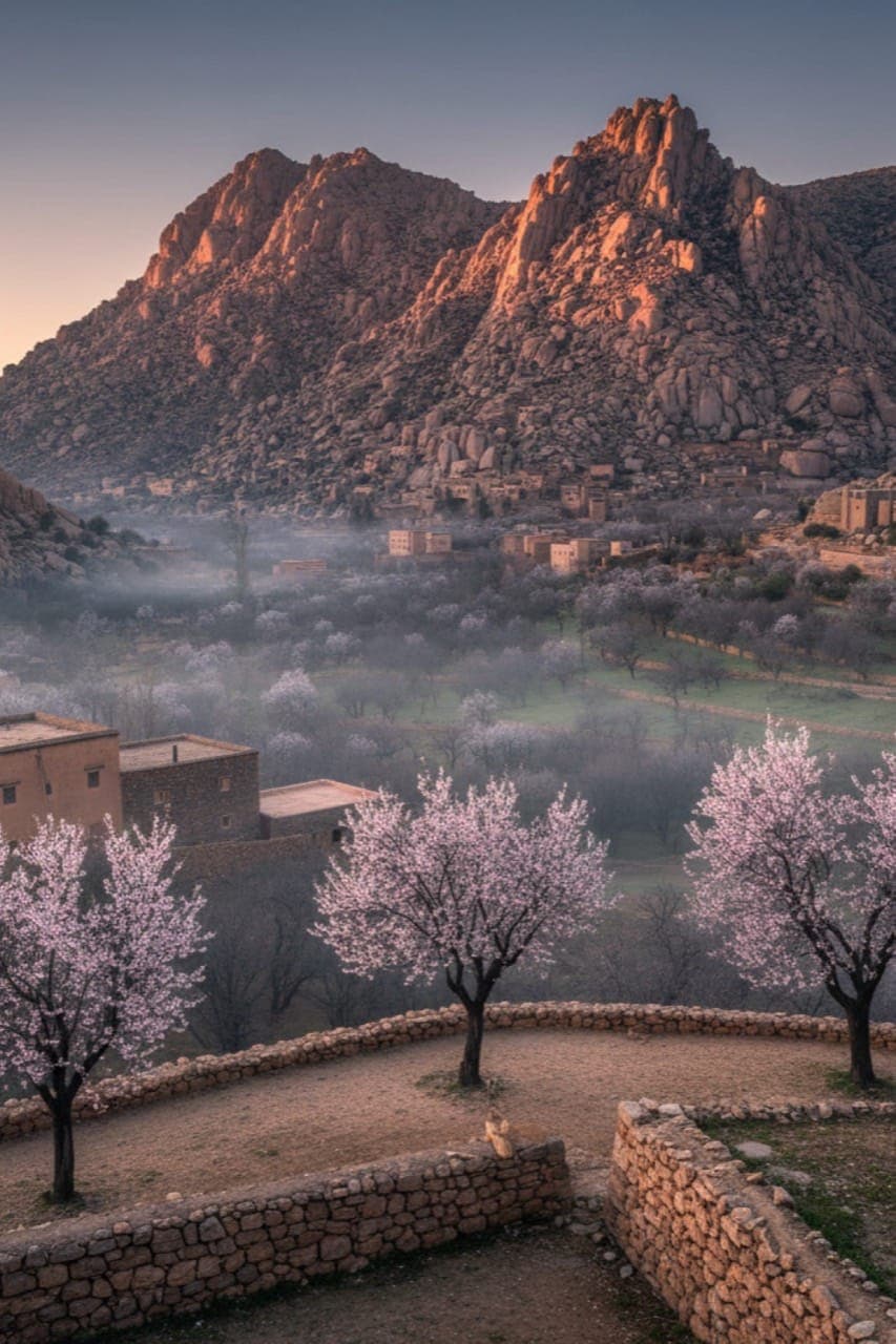 Tafraoute Almond Blossom 2026: When to Go, What to See, How to Plan