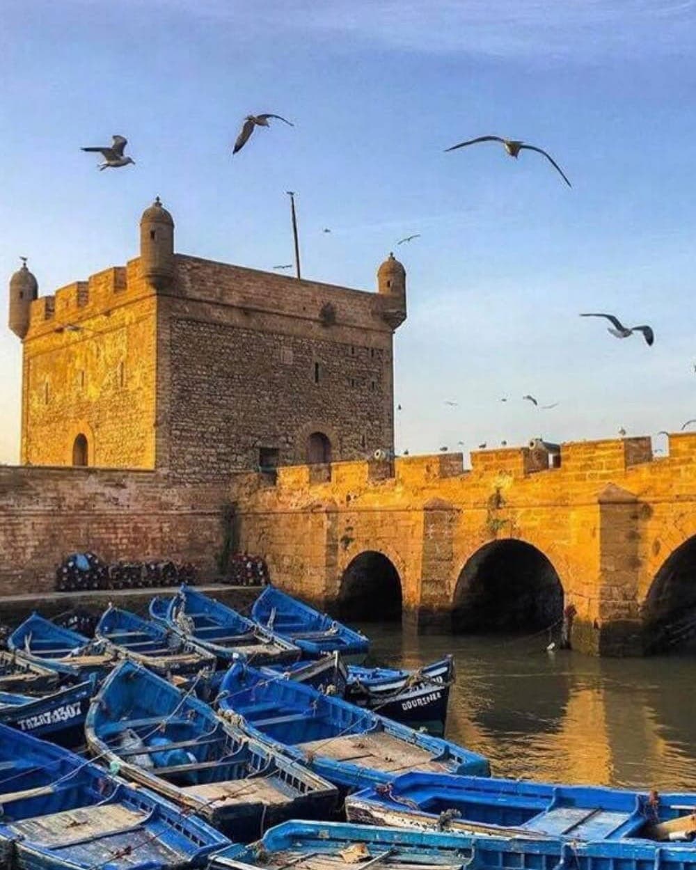 Essaouira: Wind, Waves & Gnawa on the Atlantic